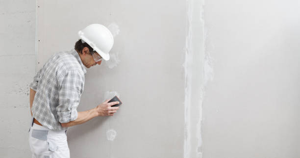 Best Drywall for Remodeling  in USA